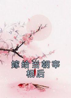 卫青公主大婚第几集