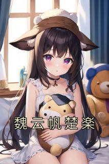 主角魏云