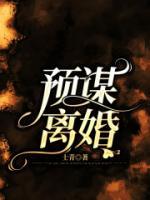 预谋离婚法院会受理吗