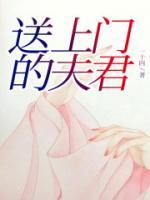 傅音顾允免费阅读
