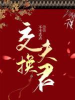 上错花轿嫁对郎杜冰雁