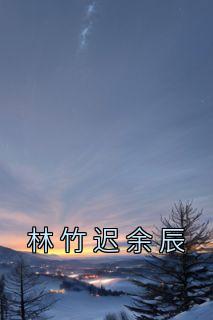 有一本主角叫林迟