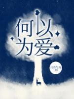 何以为爱电影