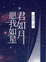 愿我如星君如月流光相皎洁意思