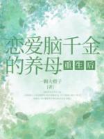 许飞免费阅读全文