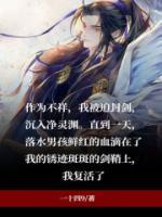 苍空寒带