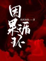 招娣赵启刚是什么电视剧