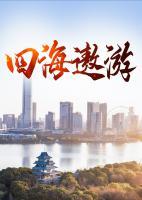 老张陈冰的在线阅读