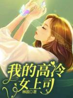 我的高冷女老板作者西瓜大大