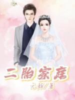 二胎家庭用车什么车最合适