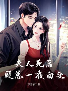 沈落顾轻延的背景故事