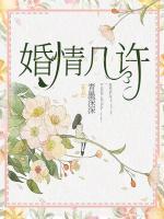 婚情几许短剧全集