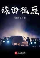 谍海孤雁作者怕热胖子