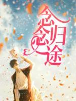 念归途
