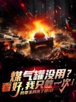 煤气罐没用看好我只教一次TXT