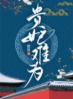贵妃难为书评