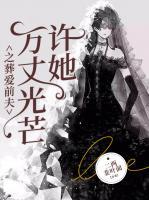 许你万丈光芒免费