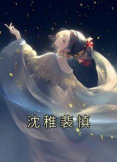 沈稚裴慎结局
