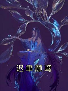 顾鸢迟聿全文免费
