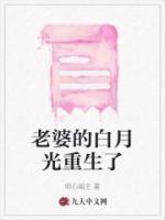 我老婆心中有个白月光