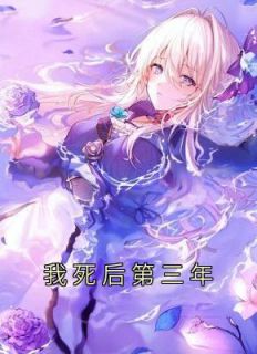我死后第三年阿宿