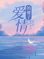 爱情的傻子歌词