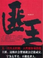 匪王传奇