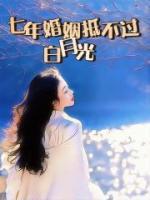 男主陆川女主江夏