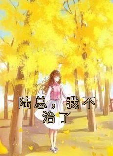 沈肆陆锦城全文免费阅读