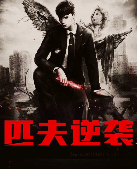 许建高美丽匹夫逆袭作者简介