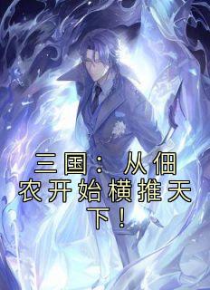 三国从佃农开始横推天下姜林动画片
