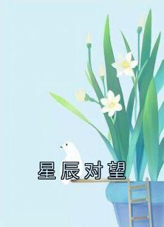 沈晚笛沈千辰云致璟后续