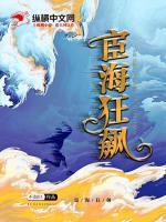 宦海狂飙原著