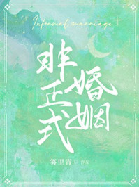 非正式婚姻by雾里青讲的什么