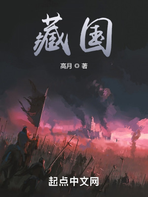 藏国高月TXT全本