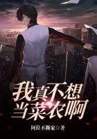 李师师介绍