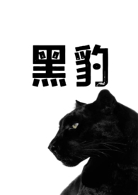 黑豹兽