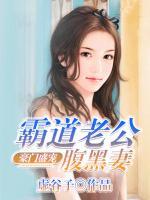 霸道老公豪门宝贝妻