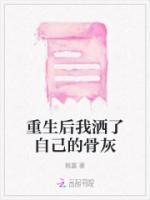 叶宿安沈归的