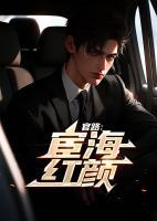 宦海红颜路陆天明