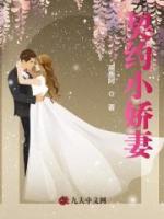 契约婚姻免费阅读作者小十