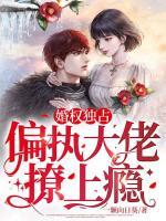 婚宠之3婚权独占