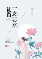 徒留一半忧伤
