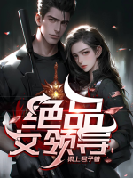 绝品女领导江凌慕容