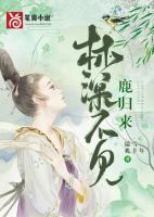 林深见鹿不见你歌曲