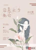 慕安秦南全文免费阅读
