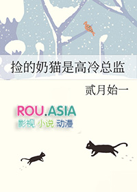 捡的奶猫是高冷总监gl