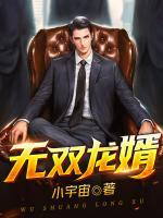 无双龙婿乔芸王铭