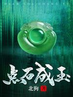 点石成玉免费读