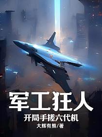 开局手搓六代机作者大辉有熊